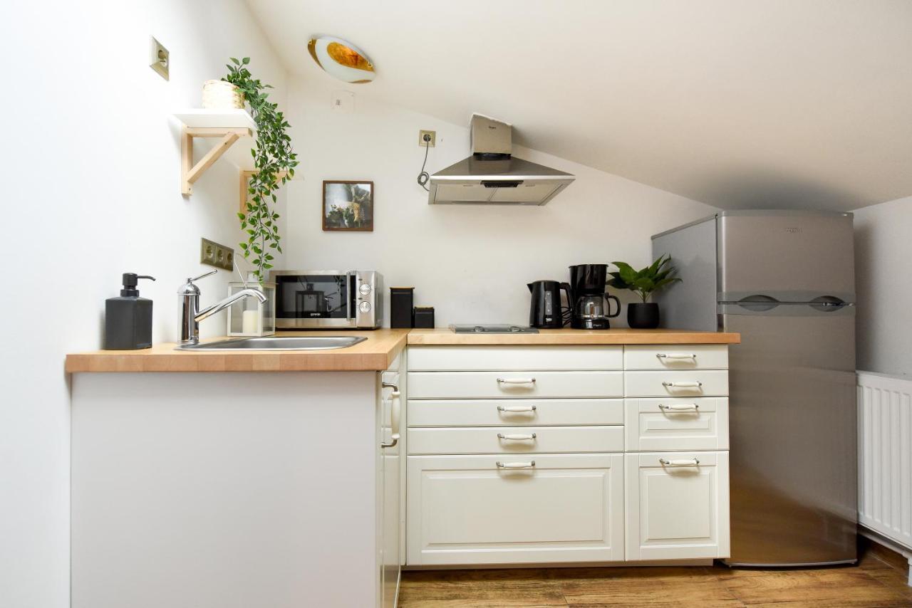 Plants Attic Studio - Location - Old Town Apartment Bucharest