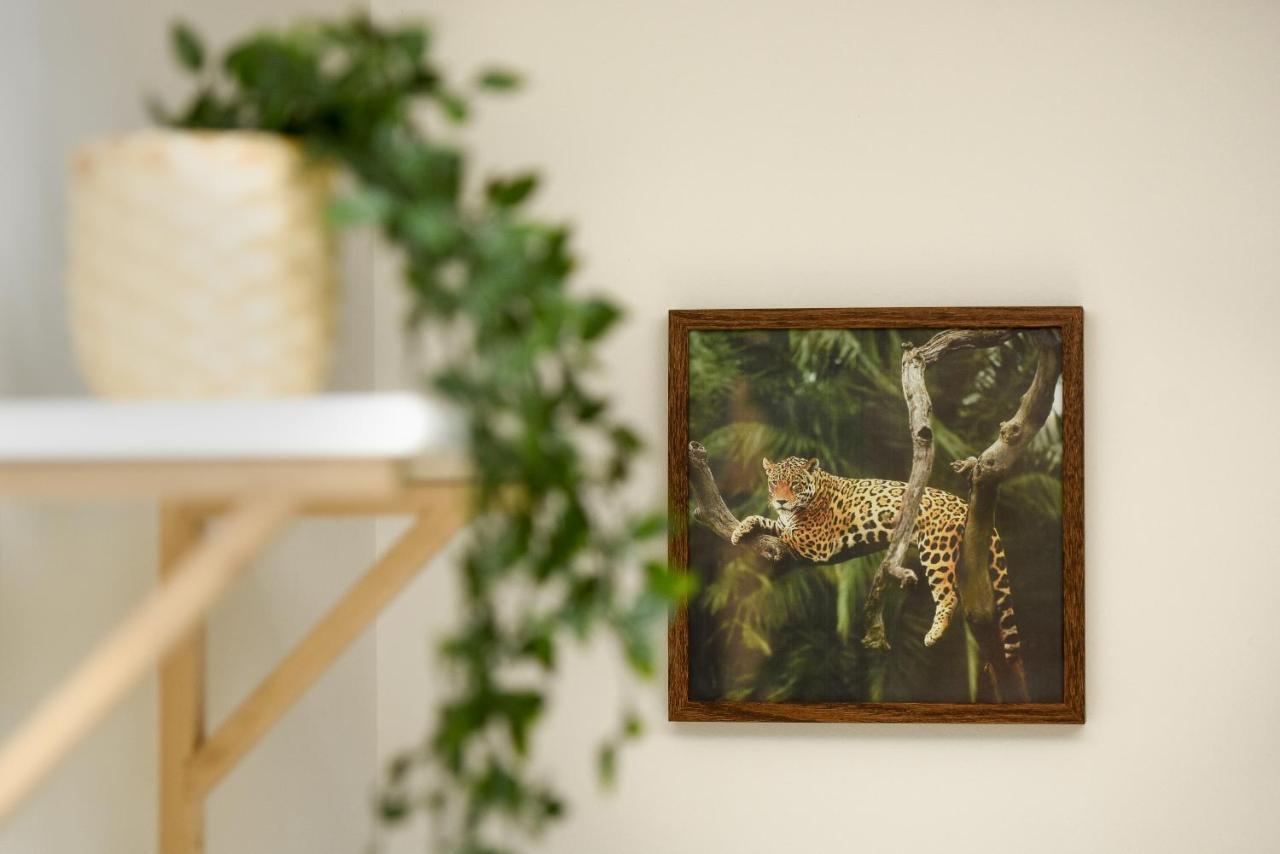 Plants Attic Studio - Location - Old Town