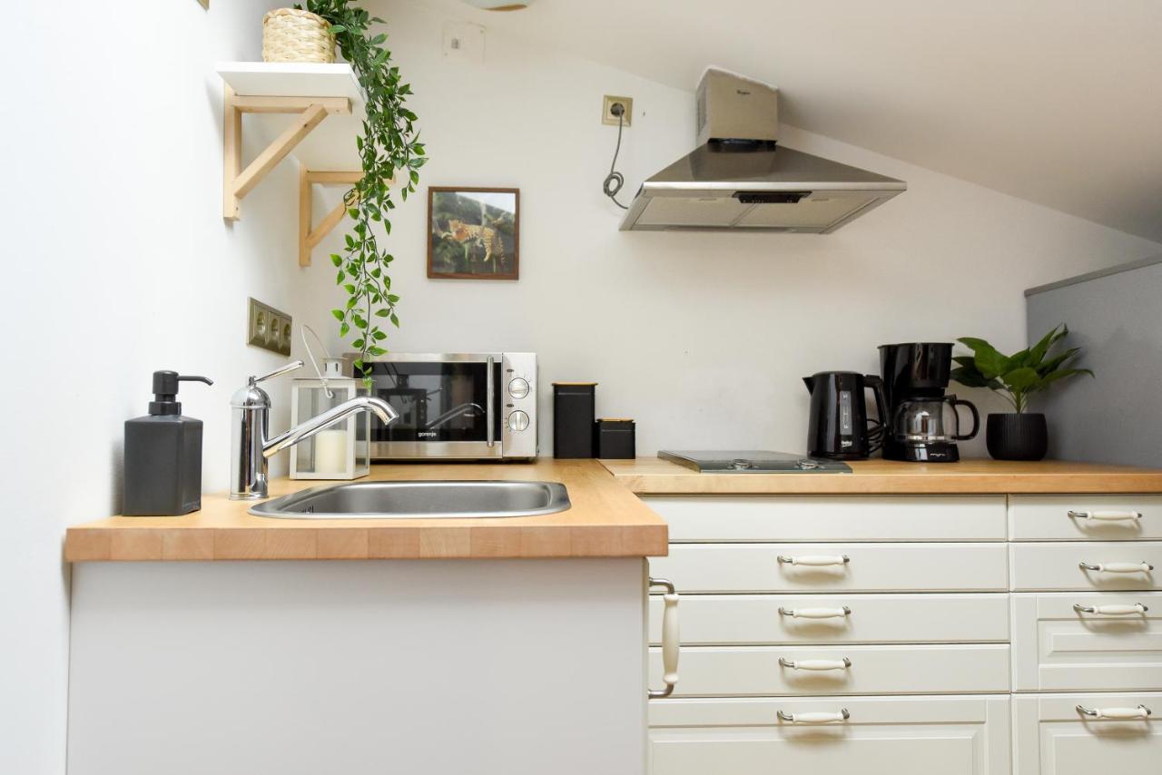 Plants Attic Studio - Location - Old Town * Bucharest